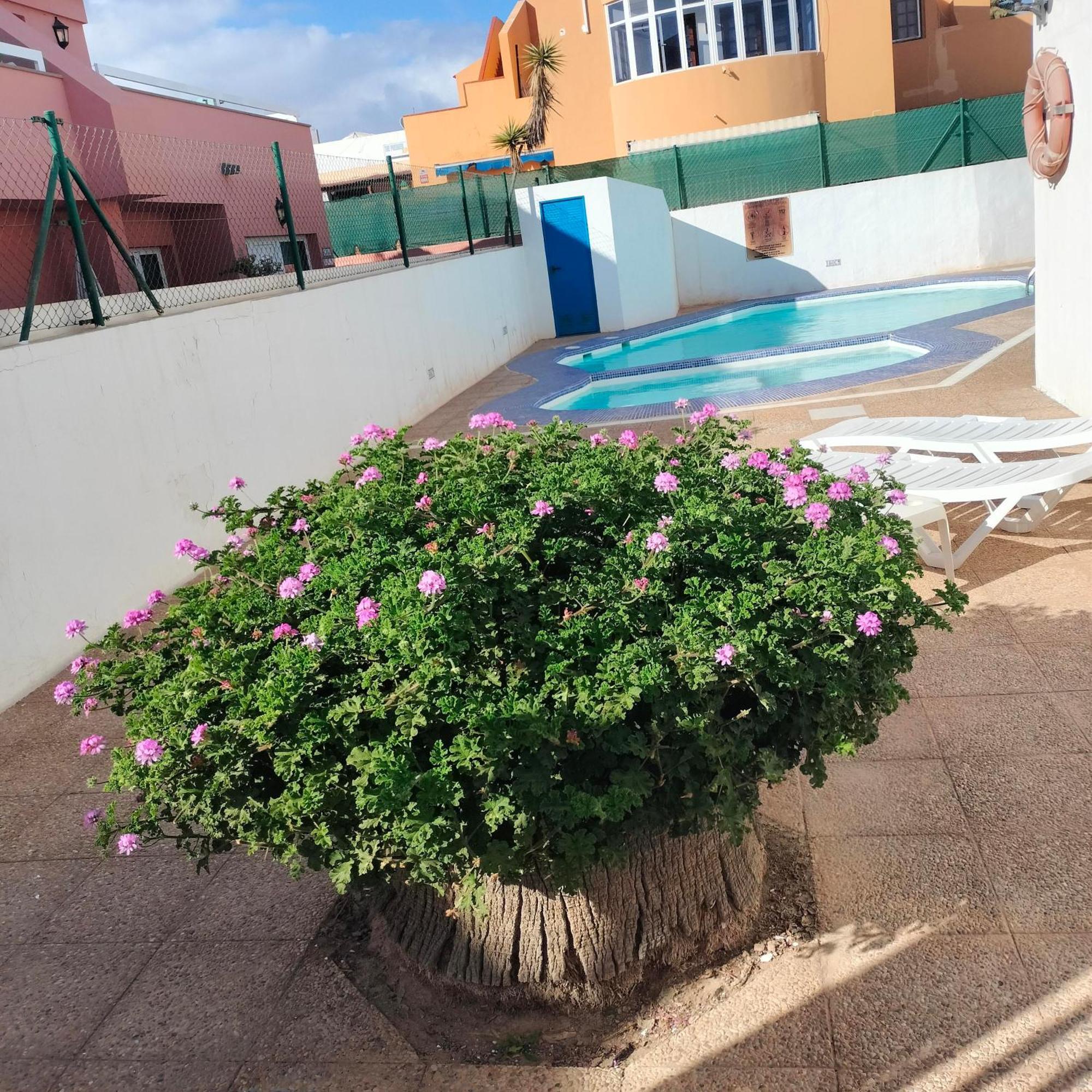 Vivienda Vacacional Alipatri Caleta De Fuste Bagian luar foto